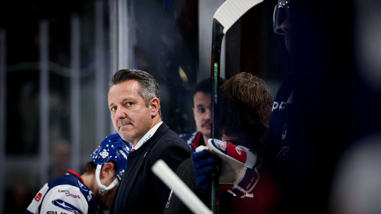 Charakteraufgabe wartet auf die Lions