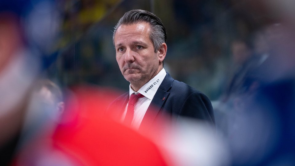 In der Fremde bestehen