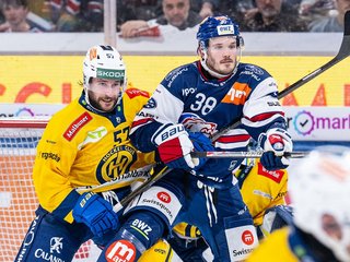 Highlights vs. Davos HF4