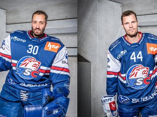 Done Deals mit Hrubec und Lehtonen