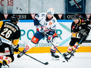 Interview vs. Lugano VF4