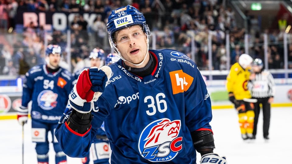 Lions-Newsletter 16.09.2026