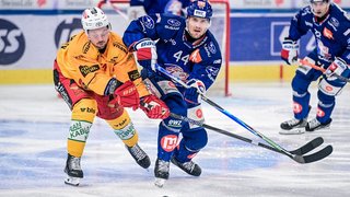 Interviews vs. Langnau