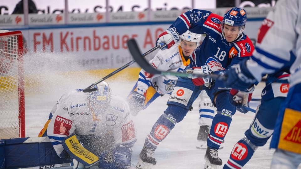 Lions-Newsletter 15.10.2025