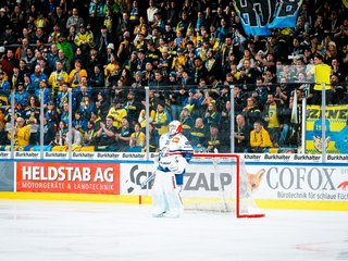 Highlights vs. Davos