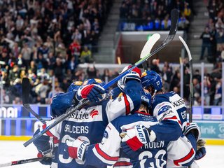 Die Lions zeigen Zähne