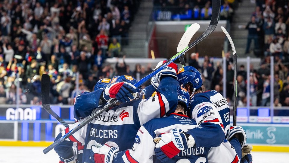 Die Lions zeigen Zähne