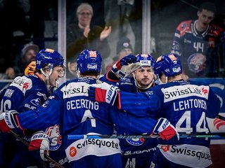 Arbeitssieg gegen die Tigers