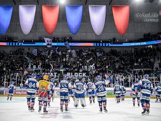 Interviews vs. Lugano