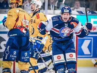 Highlights vs. Davos HF2