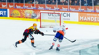 Highlights vs. Bern