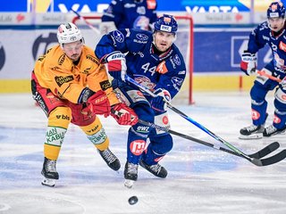 Interviews vs. Langnau