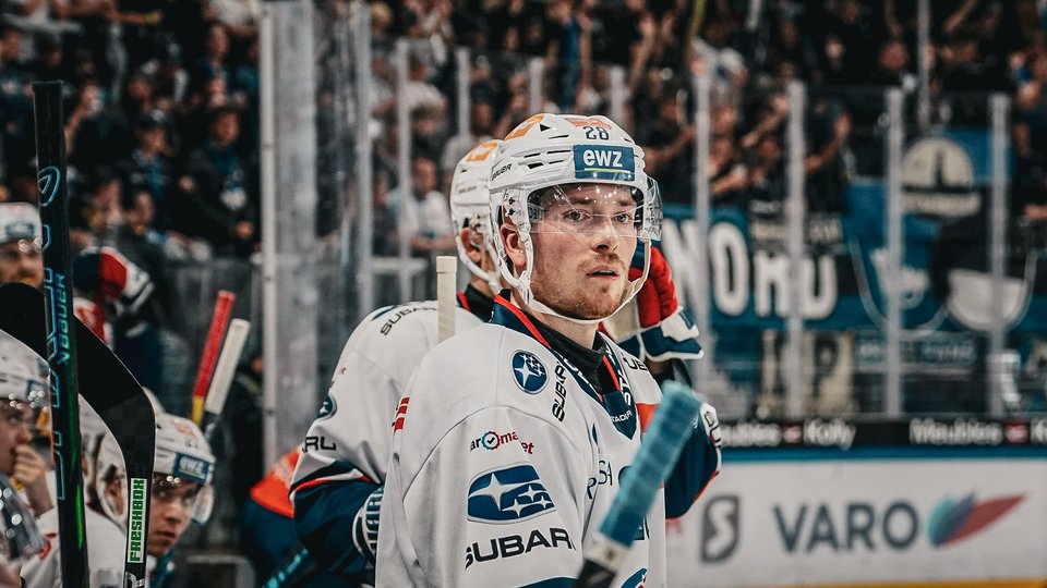 Highlights vs. Fribourg