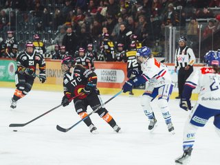 ZSC Lions Frauen mit einem Gefühls-Rollercoaster