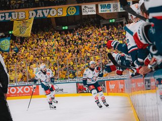 Highlights vs. Davos HF1