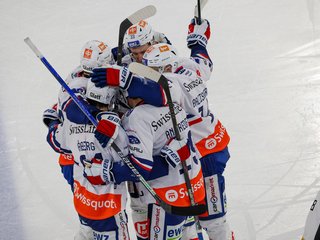 Löwen siegen in Biel