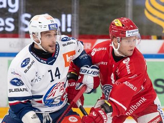 Highlights vs. Rapperswil