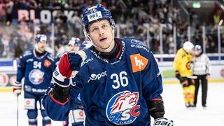 Highlights vs. Bern