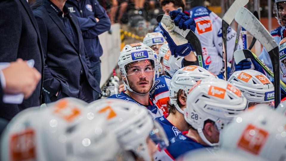 Wochenendprogramm: Gottéron und Lugano