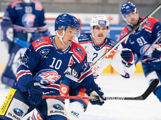 GCK Lions: Playoff-Viertelfinal gegen Basel