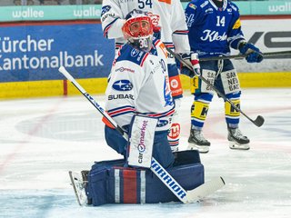 Lions überzeugen erneut
