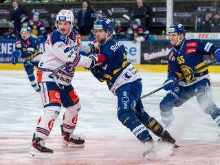Highlights vs. Davos HF4