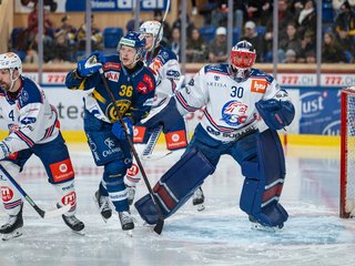 Die Lions verlieren Spiel 4