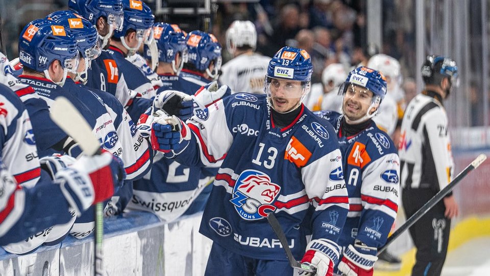 Lions gewinnen auch Spiel 3