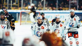 Highlights vs. Ajoie