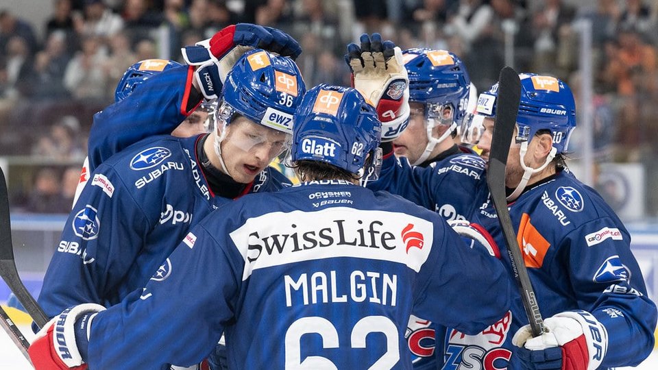 Highlights vs. Bern