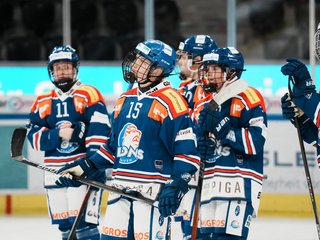 Die Playoffs 2024/25 finden ohne die ZSC Lions Frauen statt