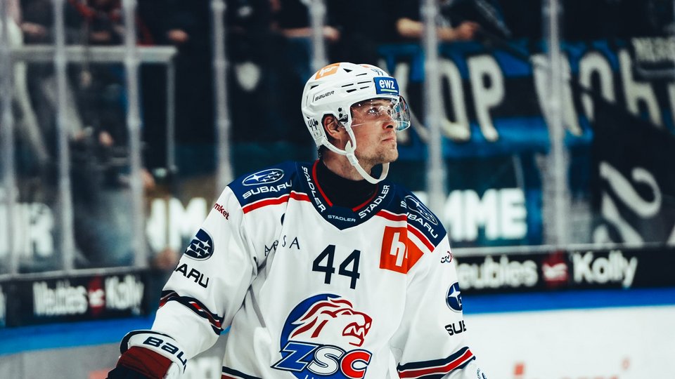Highlights vs. Fribourg