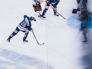 Highlights vs. Fribourg
