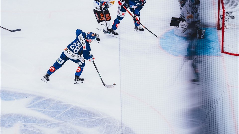 Highlights vs. Fribourg