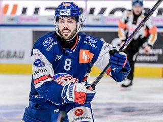 Die Arbeitsbiene des ZSC