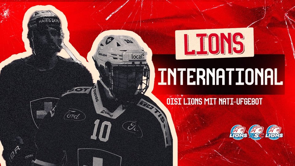 Löwinnen und Löwen in der Nati: Dezember 2025