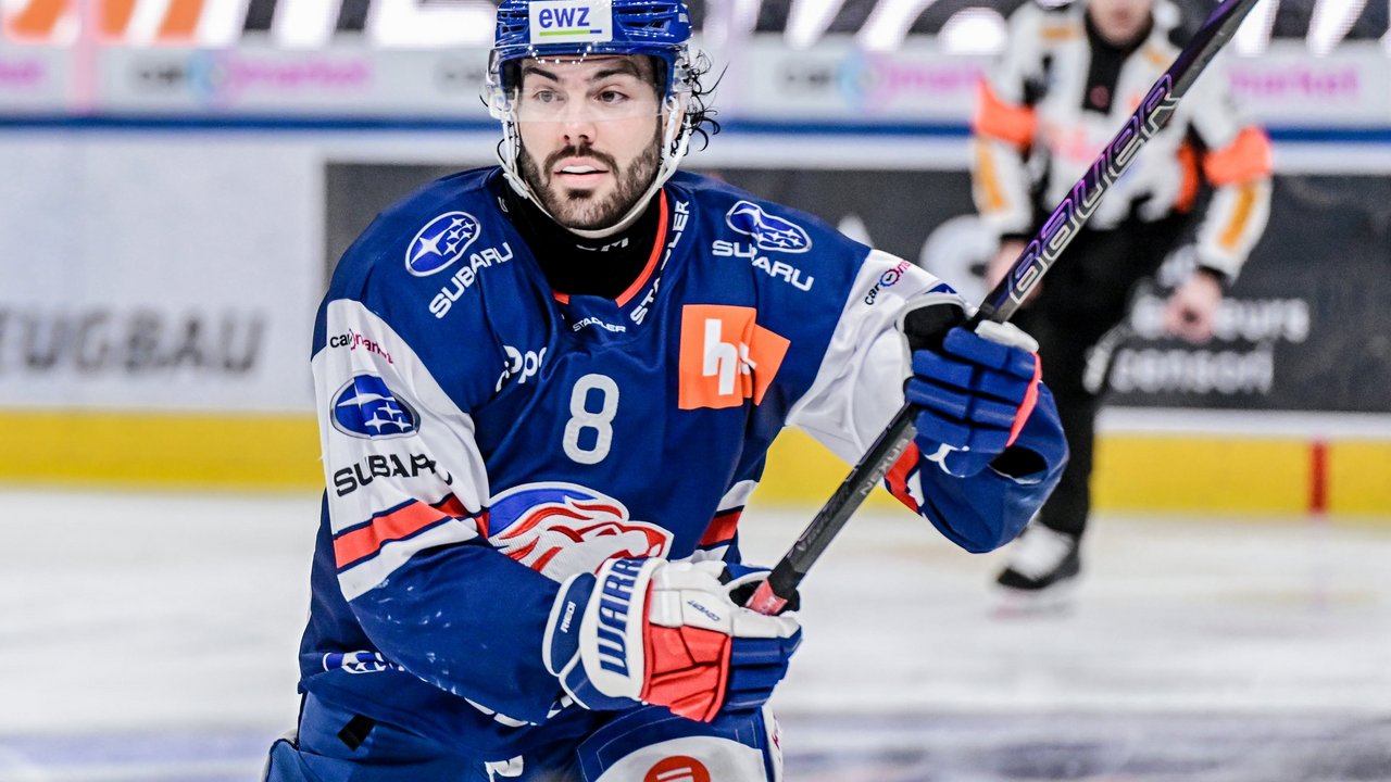 Die Arbeitsbiene des ZSC