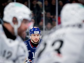 Highlights vs. Fribourg