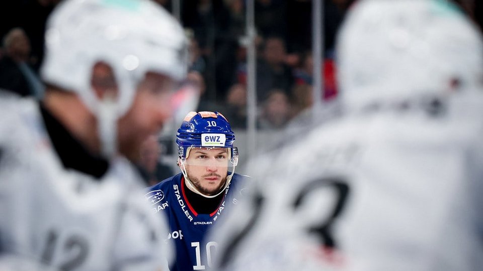 Highlights vs. Fribourg