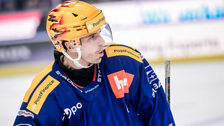 Highlights vs. Ambri