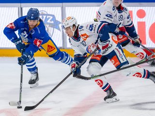 Endo Meier: Vom GCK-Talent zum ZSC-Profi