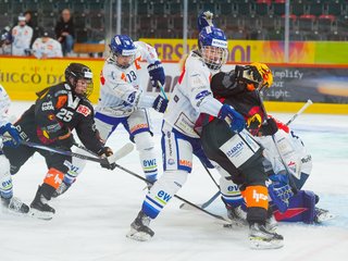 ZSC Lions Frauen ohne Fortune