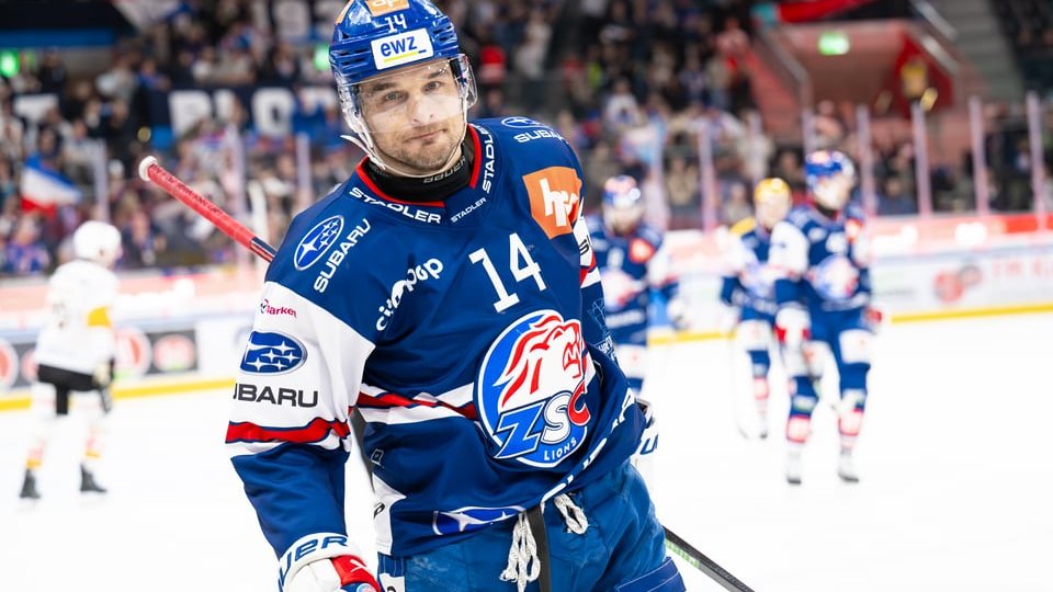 Lions-Newsletter 19.09.2025