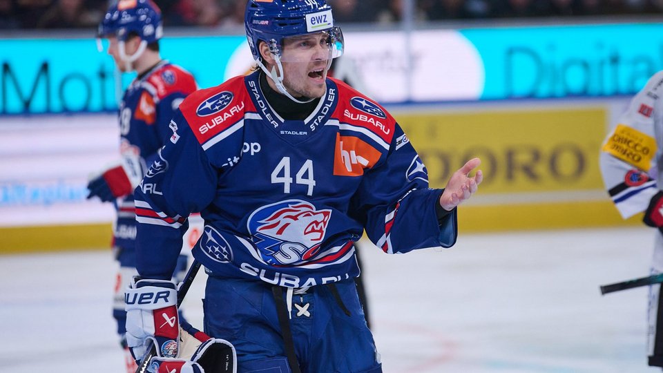 Highlights vs. Fribourg