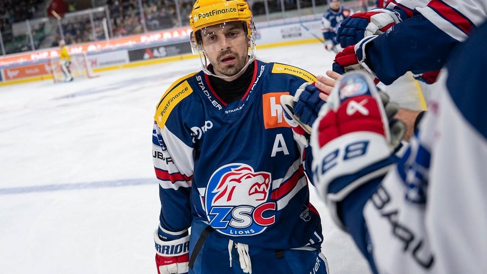 Highlights vs. Bern 