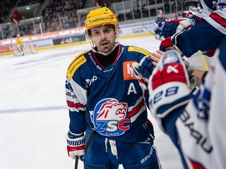 Highlights vs. Bern 